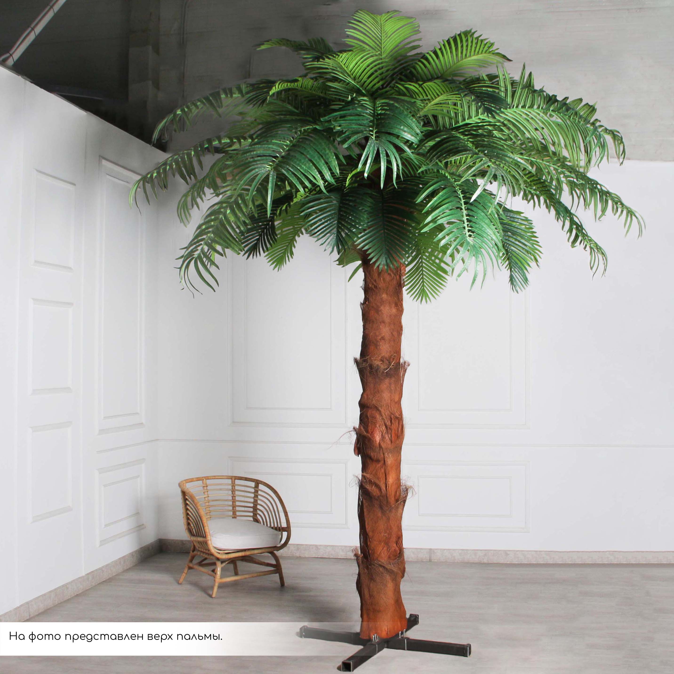 ПС450Разб/ТР/49Прем(Пр)(F) Пальма Арека искусственная h450см на мет.основании_4
