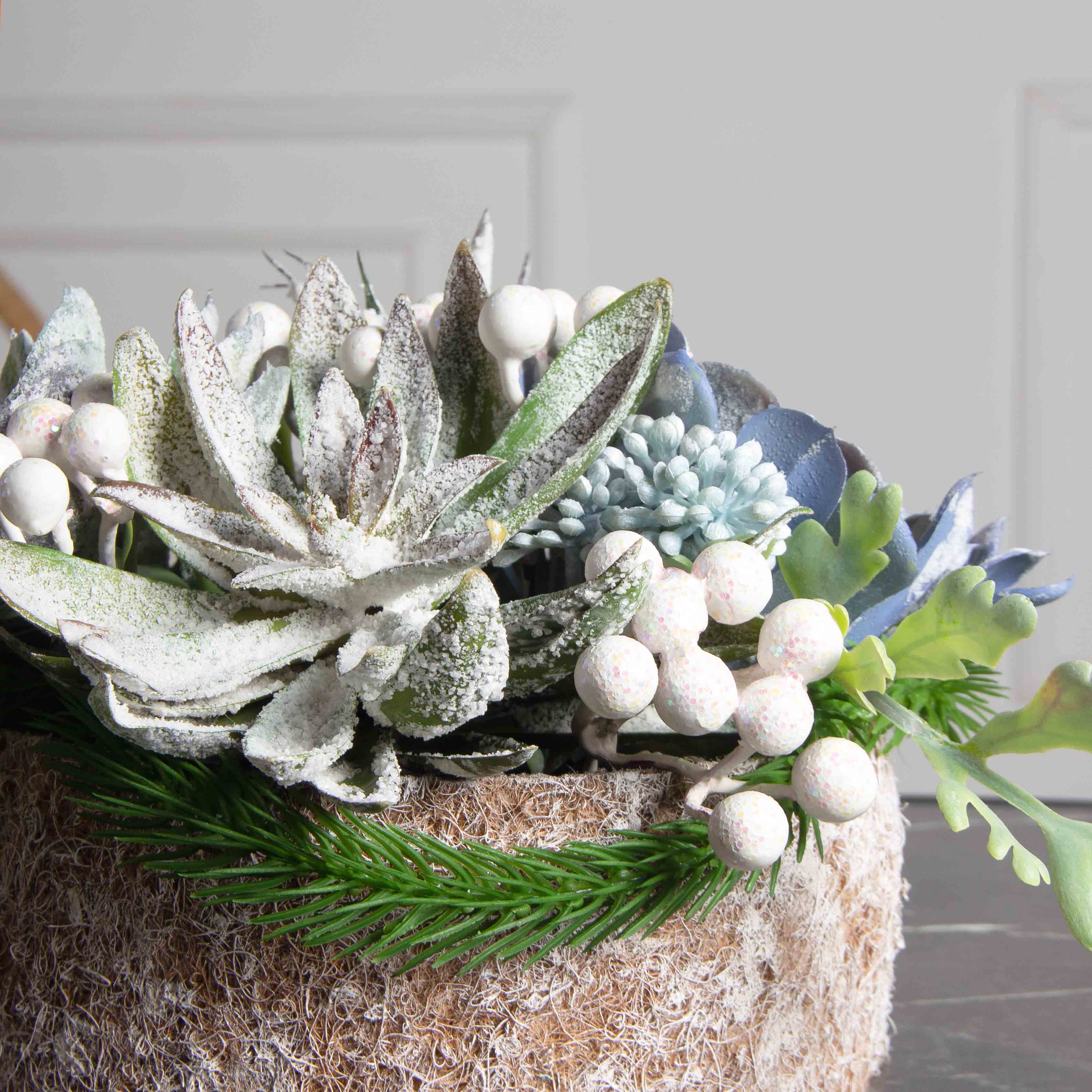 СКК08-1(з)(F) Суккуленты НГ в круглом забеленном кокосовом боксе d20см_5