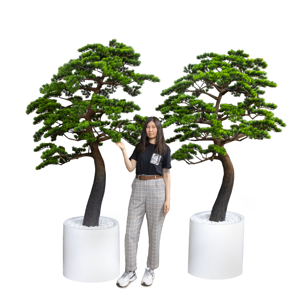 210/ДС/30(з.) Бонсай искусственный Сосна h210см (d кроны 100см)_3