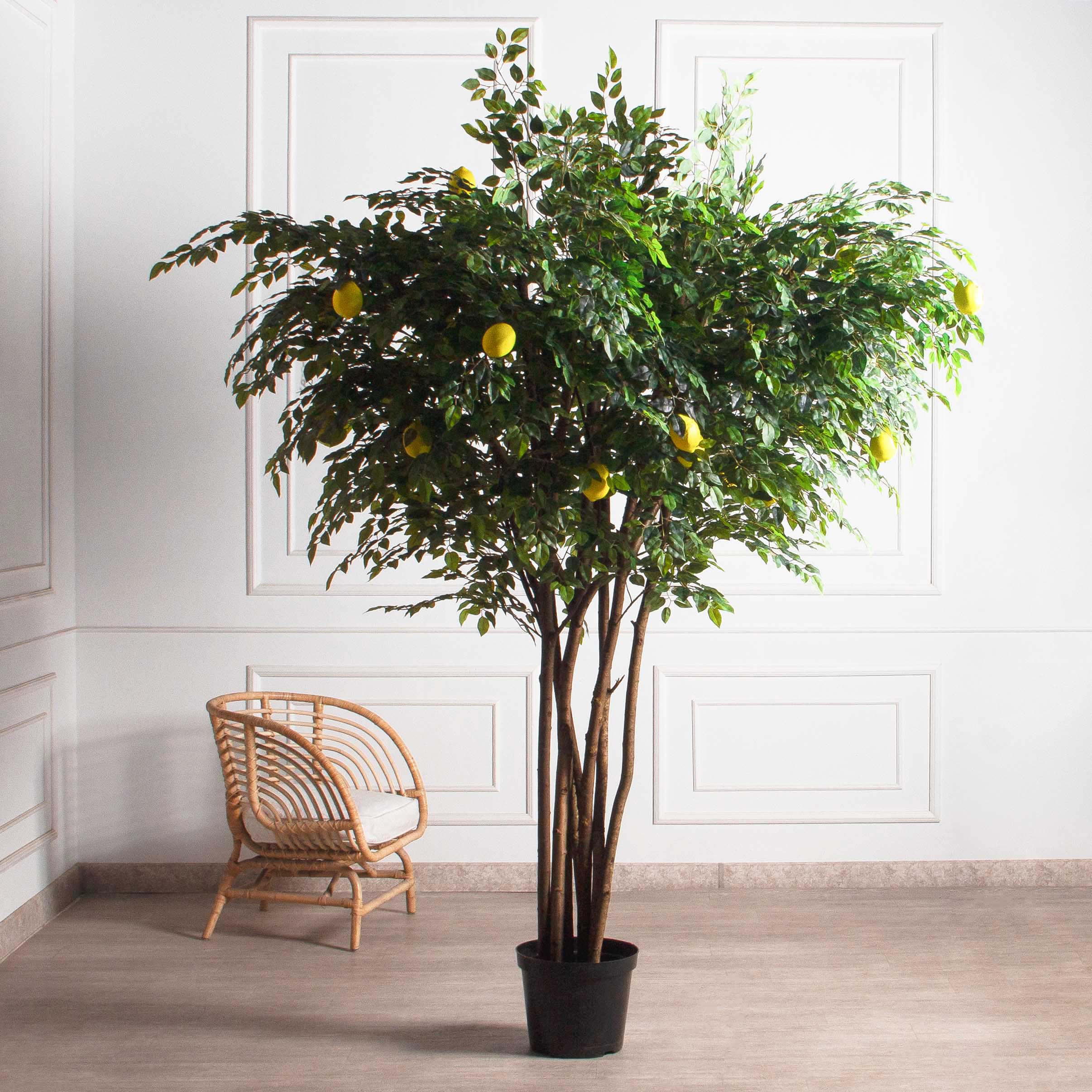 250/РН/20М-1(з)(УУ)(Пр)(F) Лимон искусственный h250см d200см, латекс_3