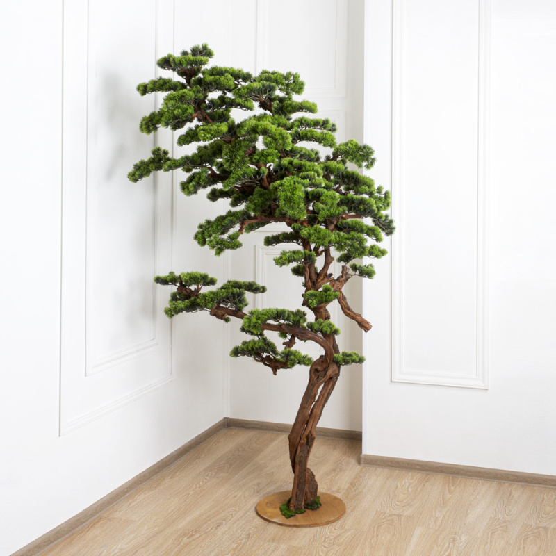 БС200/ОС/30(з) Сосна бонсай искусственная h200см (пластик) на основании, зеленая