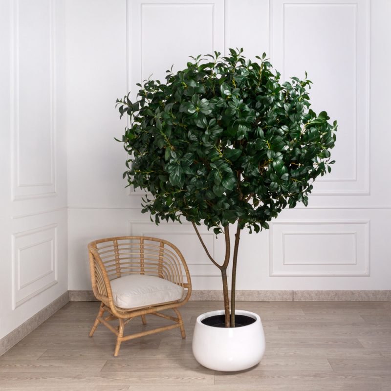 200/РН/64-1(з) Рускус искусственный h200см, d150см (латекс)