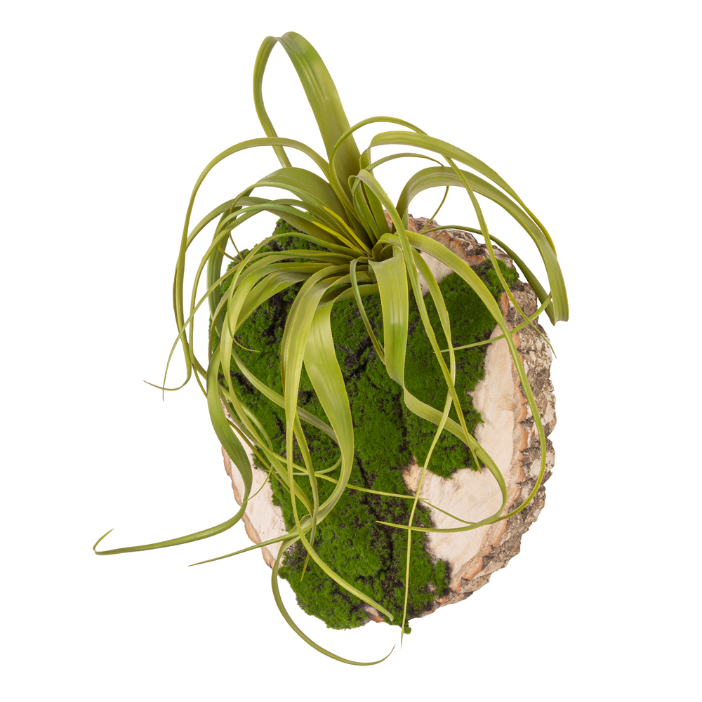 БК140/2 Композиция на березовом спиле d48-50см_1