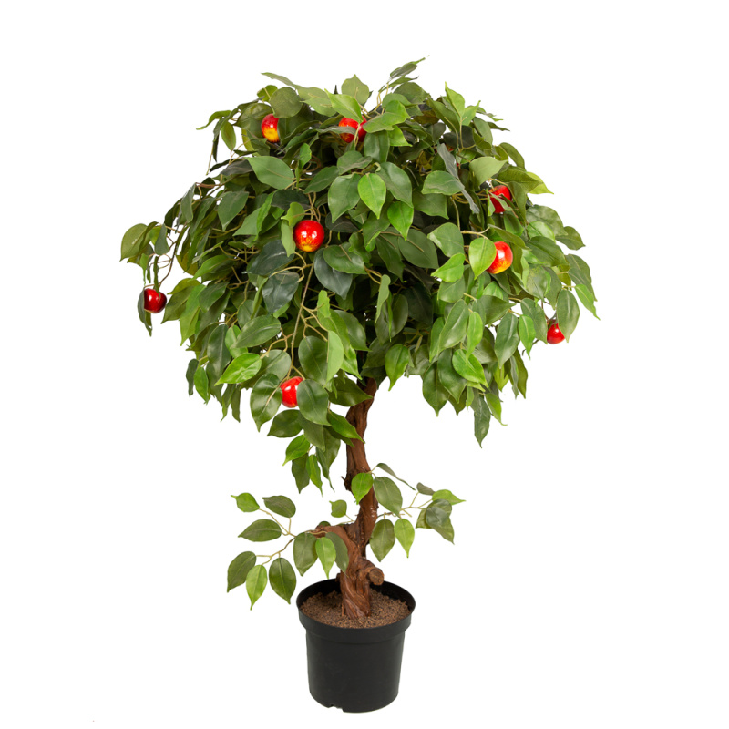 БП 100/ОС/44 Бонсай плодовый Яблоня 100см