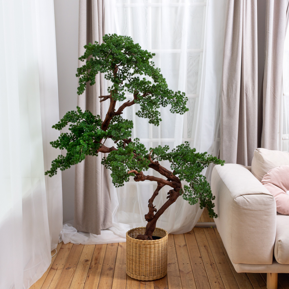 БС165/ОСИ/427(Пр)(F) Бонсай искусственный Сосна h165см_8