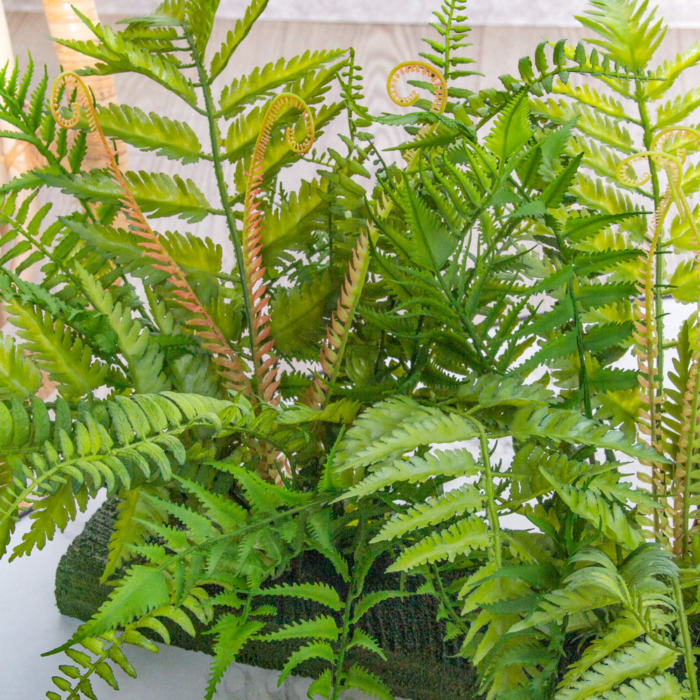 ВМ15/1(з.) Вставка модуль Микс из папоротников h24см(силикон) 37,5*9,5*3_4