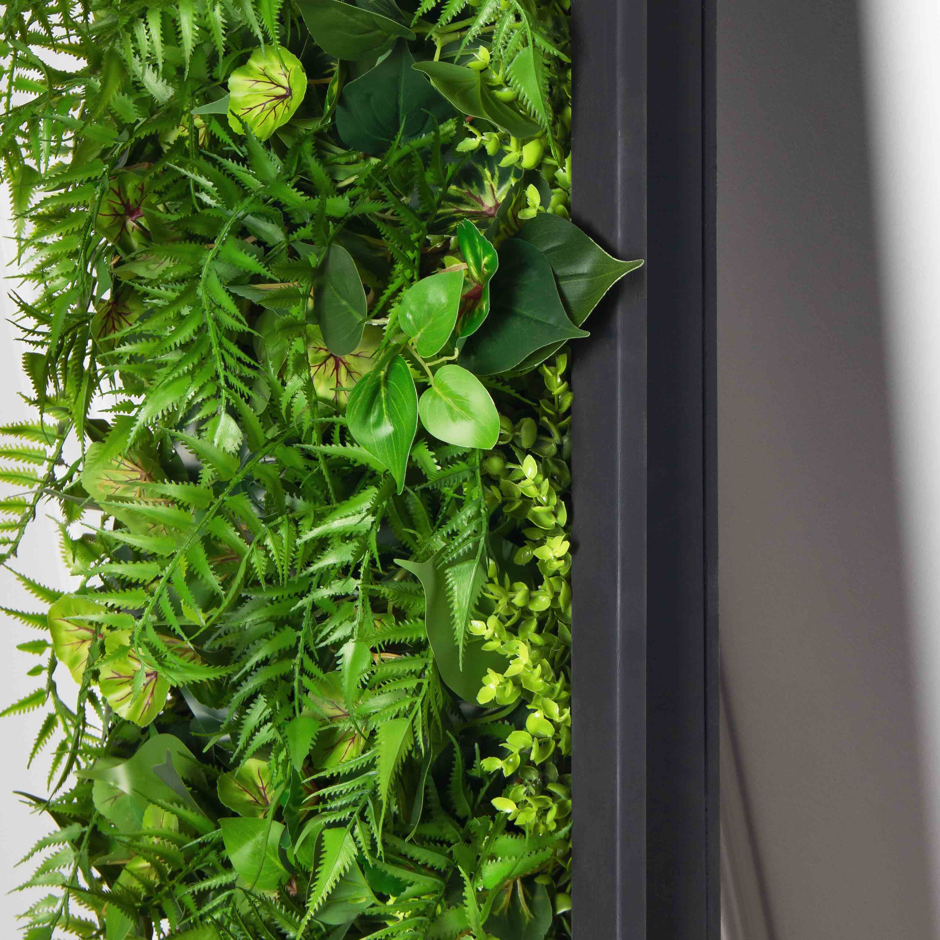 ФК96(Пр)(F) Фитокартина в черной раме 50х250см_8