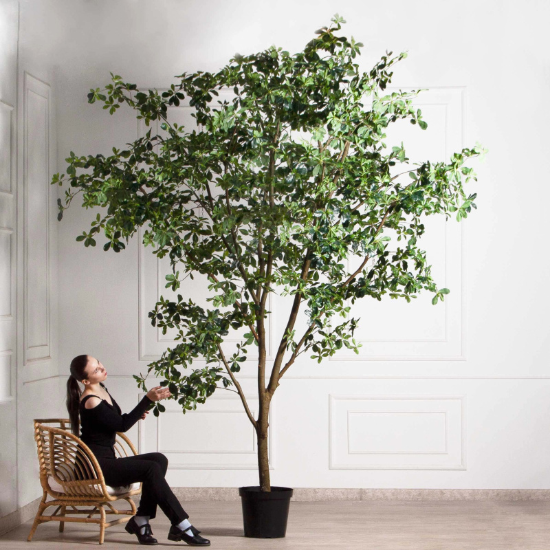 340/РН/84-1(з/УУ)(Пр)(F) Шеффлера искусственная h340см_1