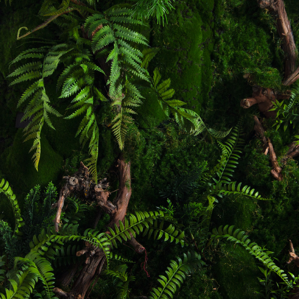 ФТС181(Пр)(F) Фитостена,  за 1кв.м_6