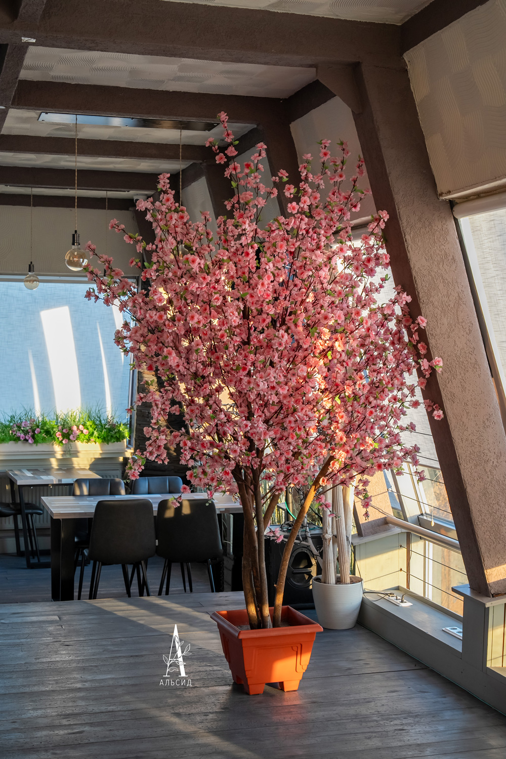 240/РН/46М(F) Сакура искусственная h240см, ярко-розовая_4