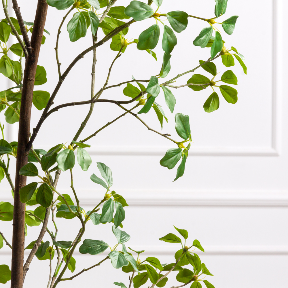 210/РН/ОК/534(Пр)(F) Шефлера Компакта искусственная h210см_2