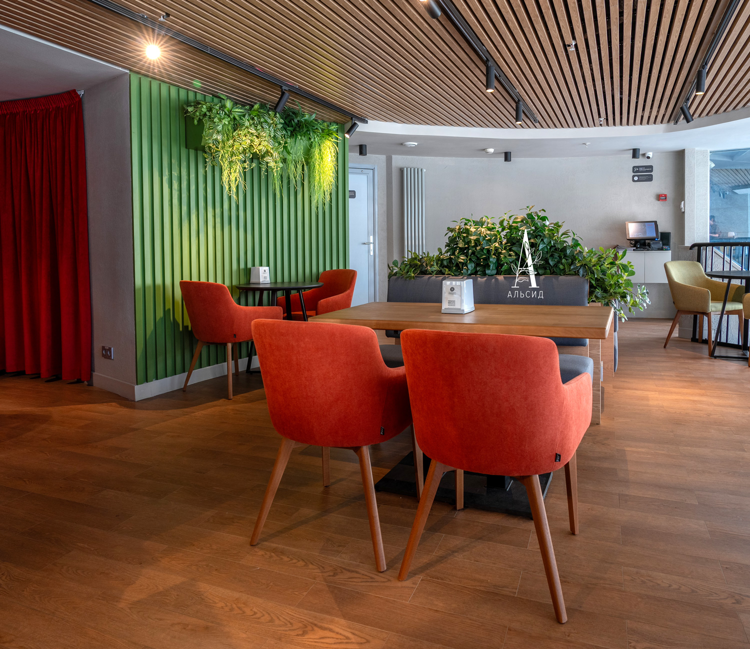 100/К/208(F) Рускус искусственный куст h100см_3