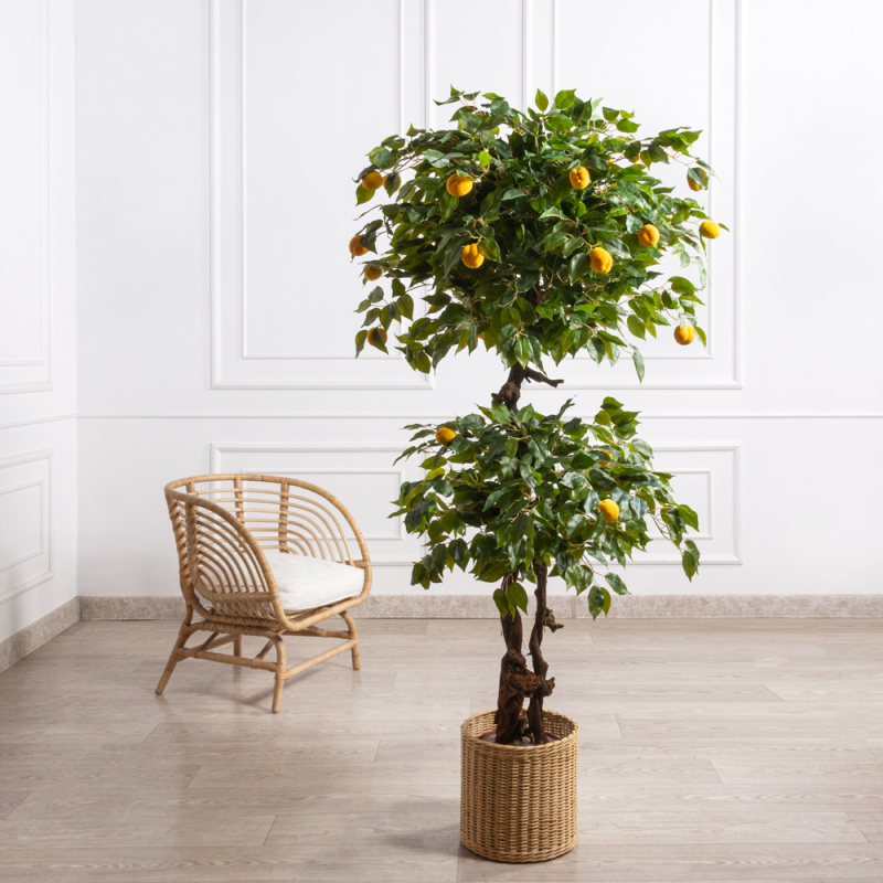 БП150/2К/42(з)(F) Бонсай искусственный Абрикос с плодами h150см