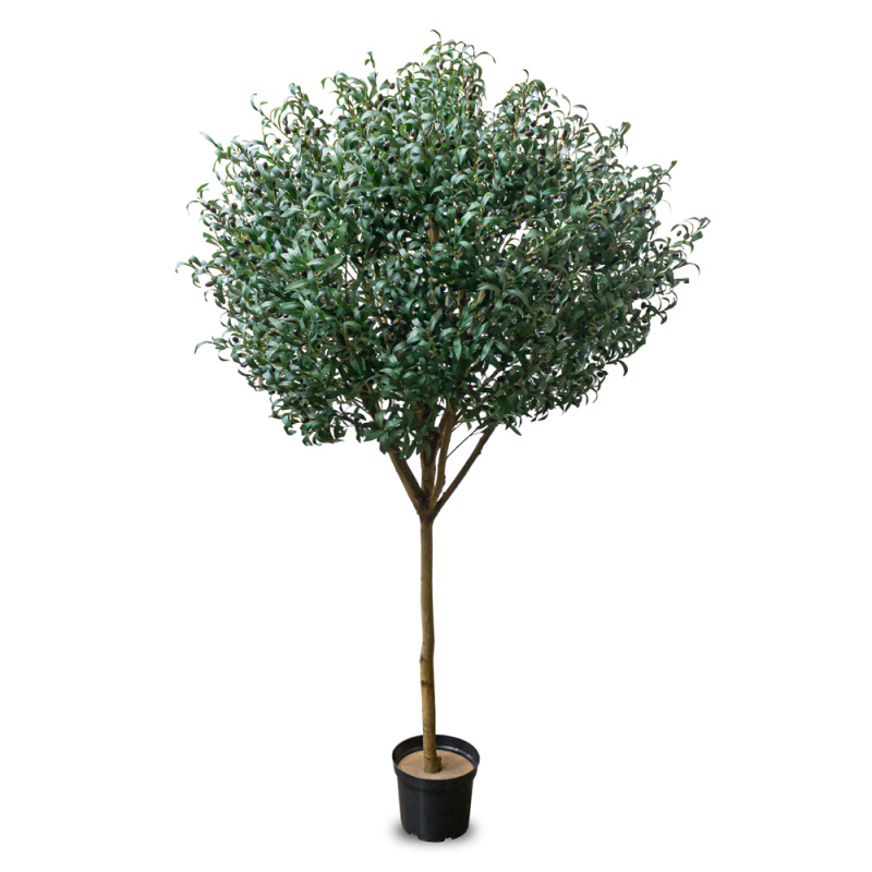 240/О/465 Оливковое дерево искусственное с плодами, h240см