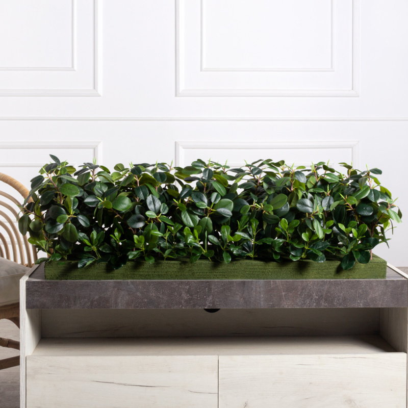 ВМ82(з)(F) Композиция искусственная Микс фикус с питтоспорумом на вставке 98х35х5см