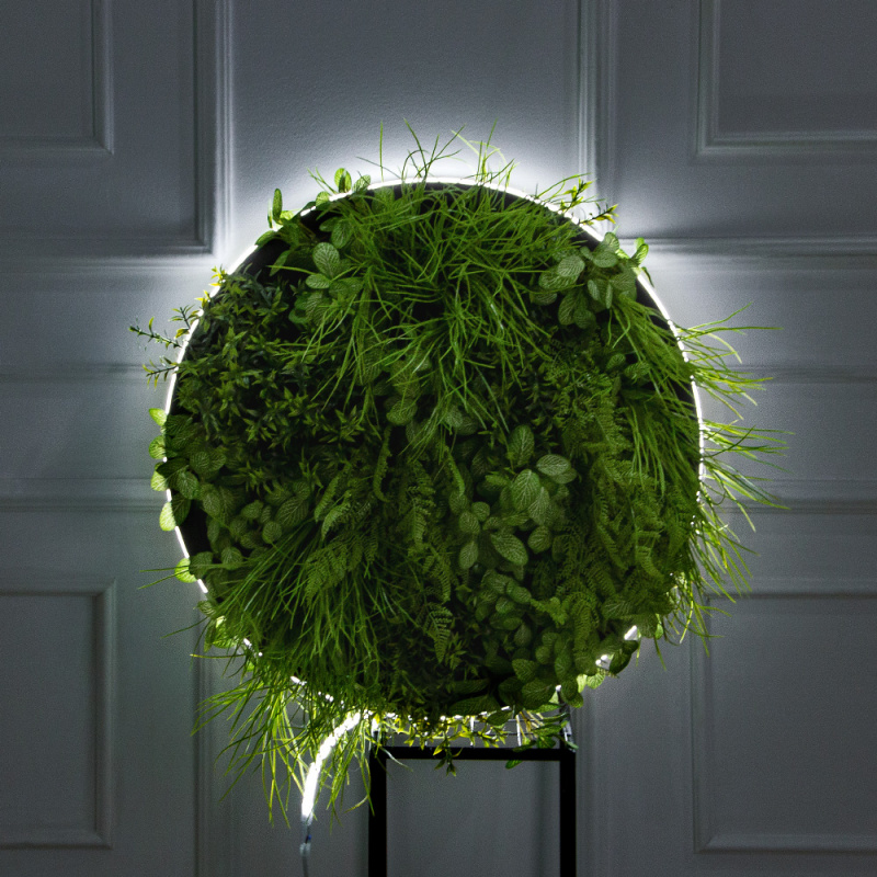 ФП05(F) Фитопанно искусственное с подсветкой d59см_1