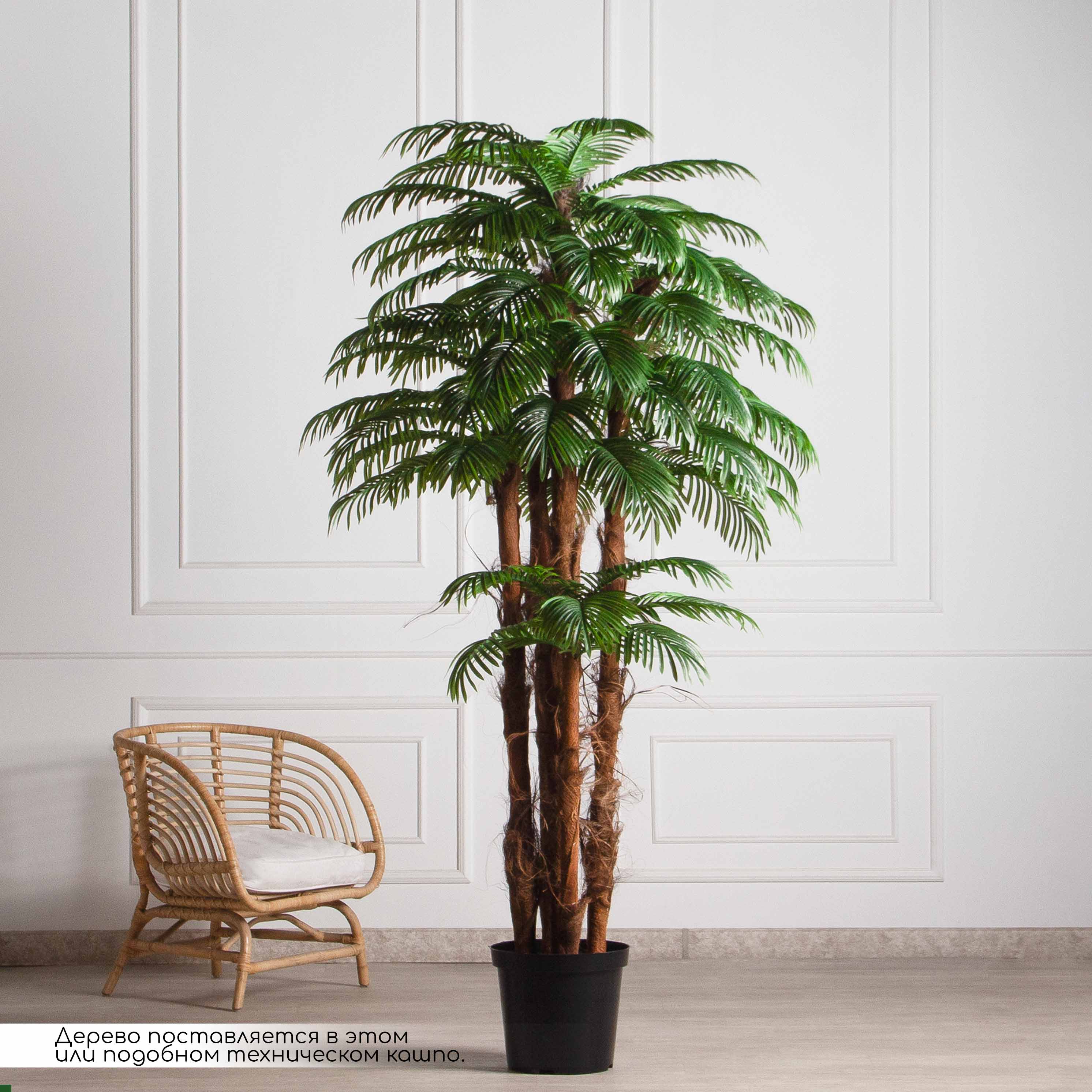 ПС240/5К/49Л(з)(F) Пальма Арека искусственная h240см (латекс)_3