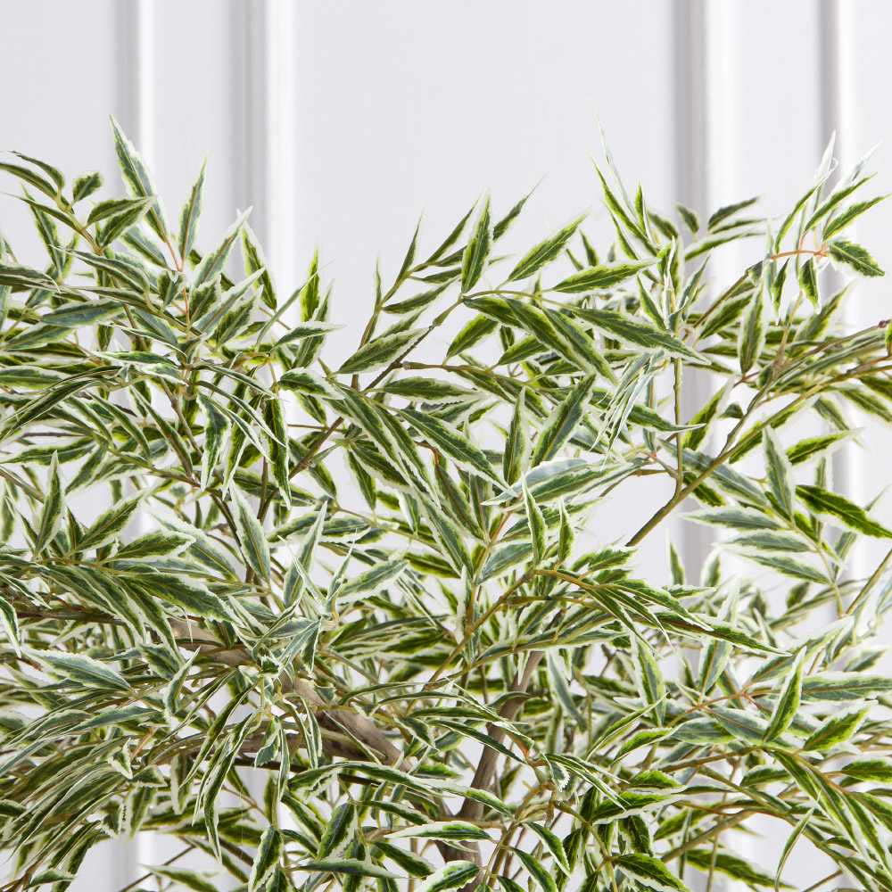 170/РН/АСС/701(Пр)(F) Магония искусственная h170см,зелено-белая,(латекс)_8