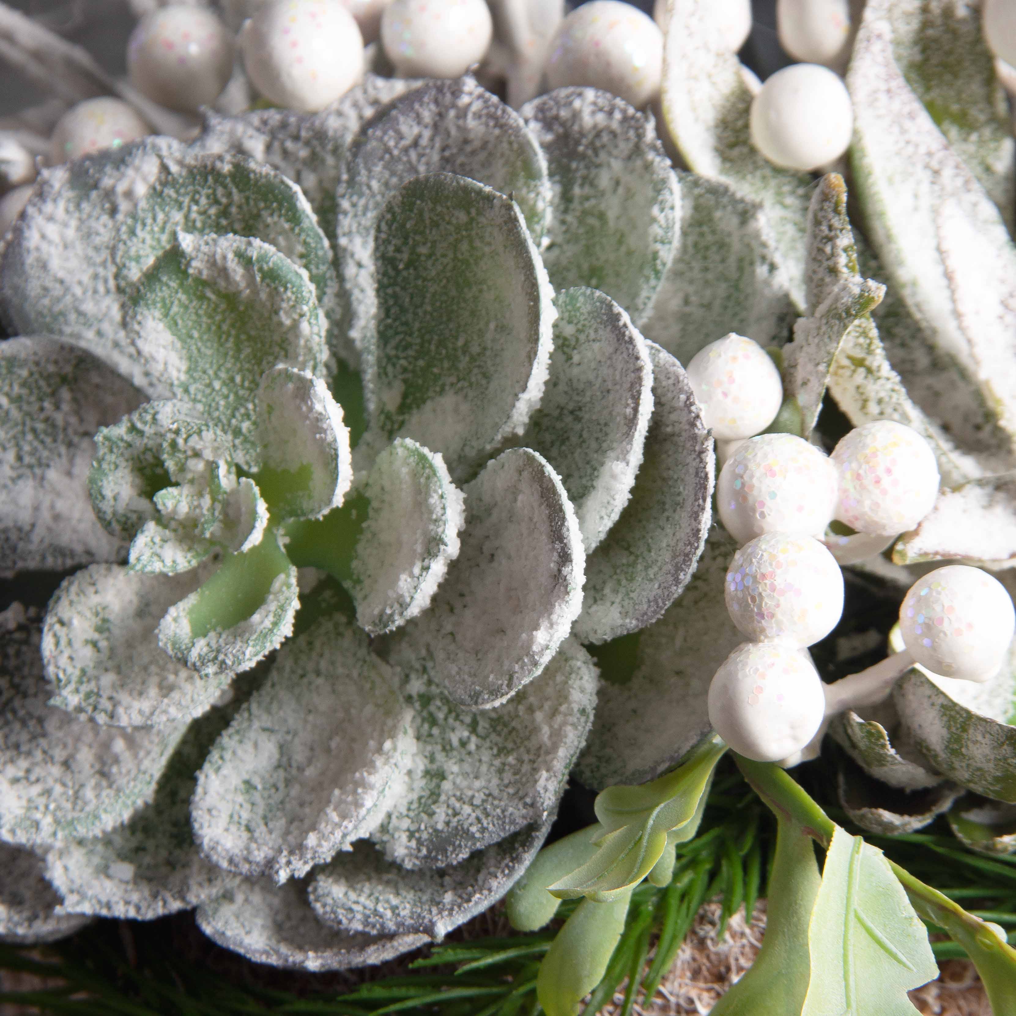 СКК08-1(з)(F) Суккуленты НГ в круглом забеленном кокосовом боксе d20см_6