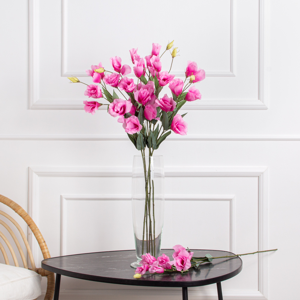 Растения и цветы