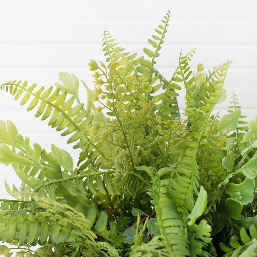 КЗ 02/2(з.) Папоротники амп. в ребристом кашпо (13,5*13,5*16)_3