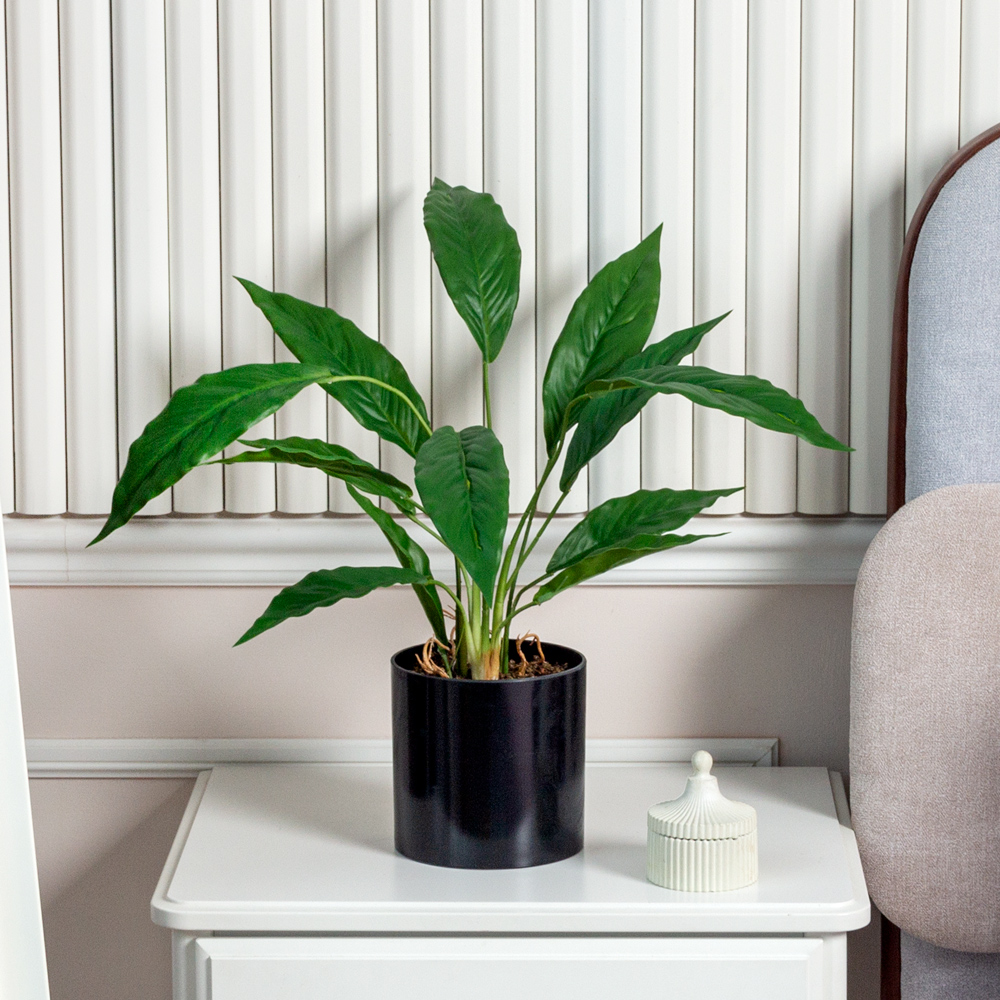 ЦС212-1(F) Калатея искусственная,  зеленая_1