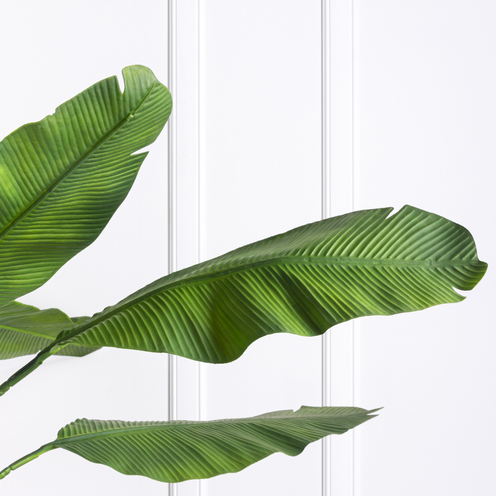 П180/356 Куст Банана (зеленый)h180см(латекс) _9