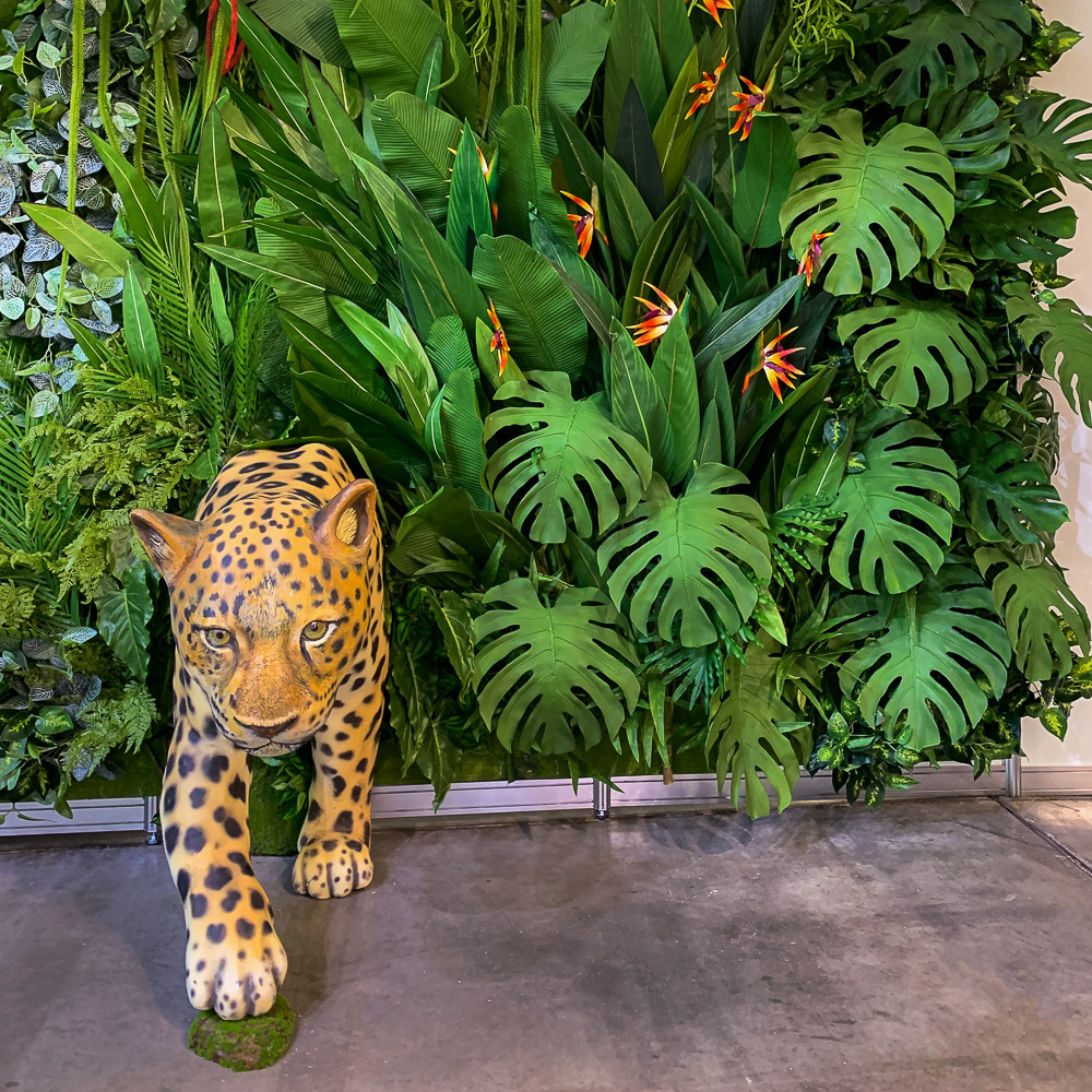 Фитостена 99_3