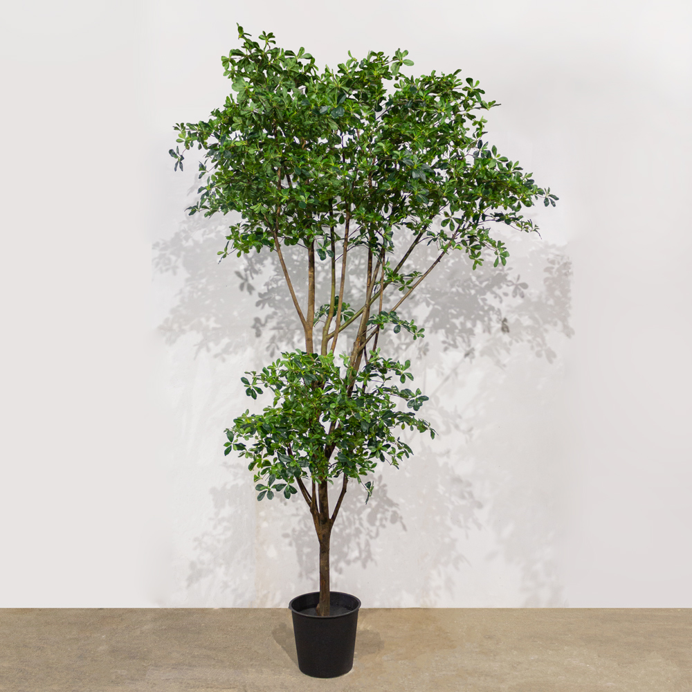 360/Я2/РН/АСС/84(з)(УУ)(Пр)(F) Шеффлера искусственная пристенная h360см, латекс_1