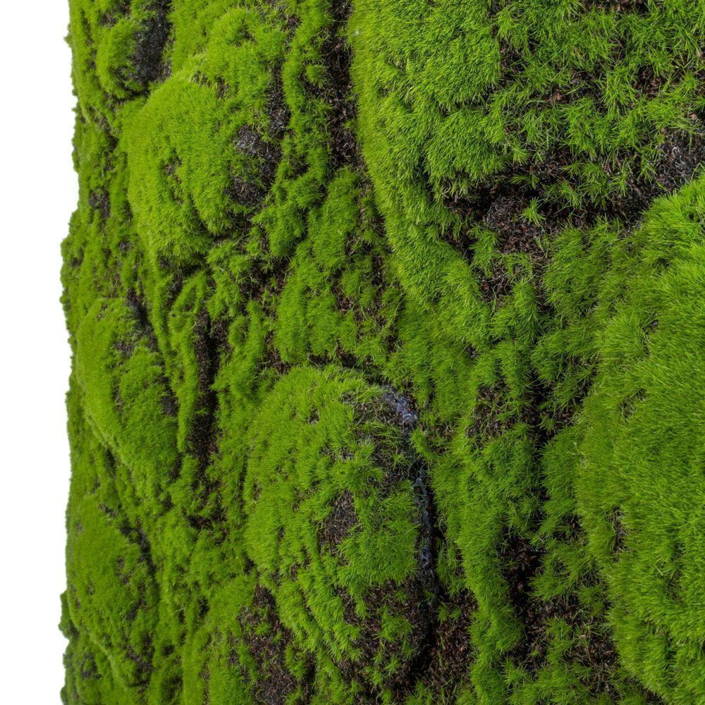 Фитостена 92 