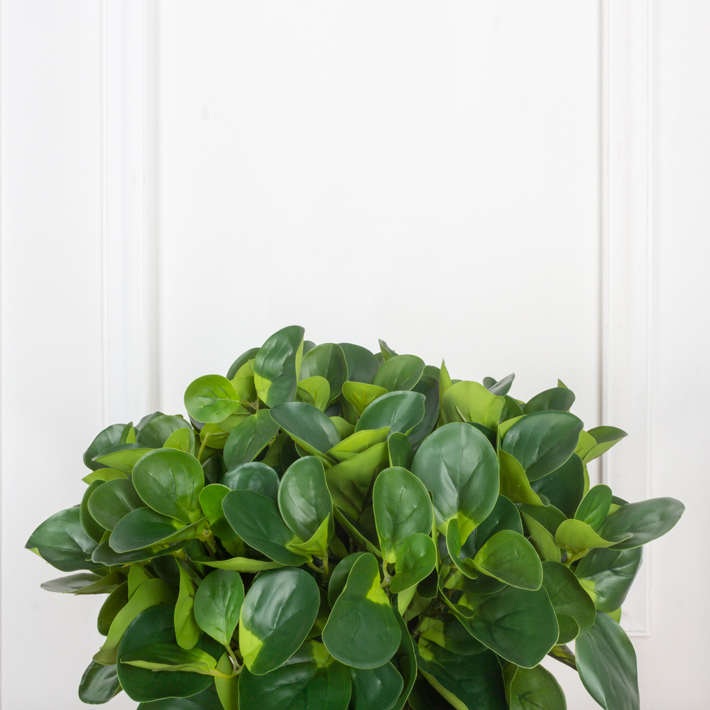 ЦС84 Толстянка искусственная h40см  _1