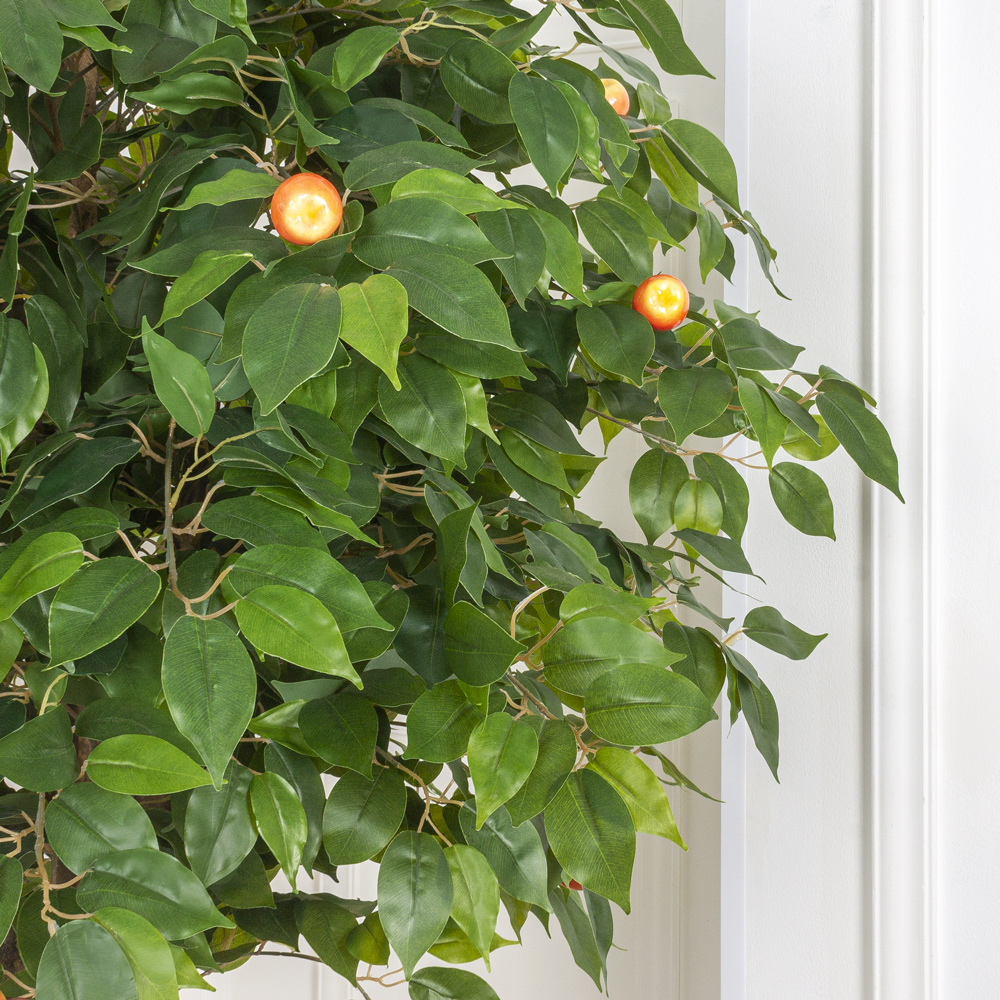 180/РН/35 Яблоня h180см(латекс)_5