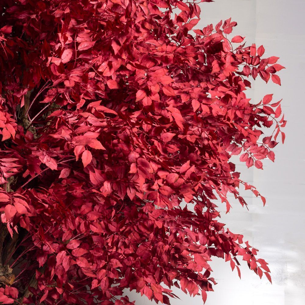 365/ОС/604(з/УУ)(Пр)(F) Дерево искусственное интерьерное h365см, d220см_2