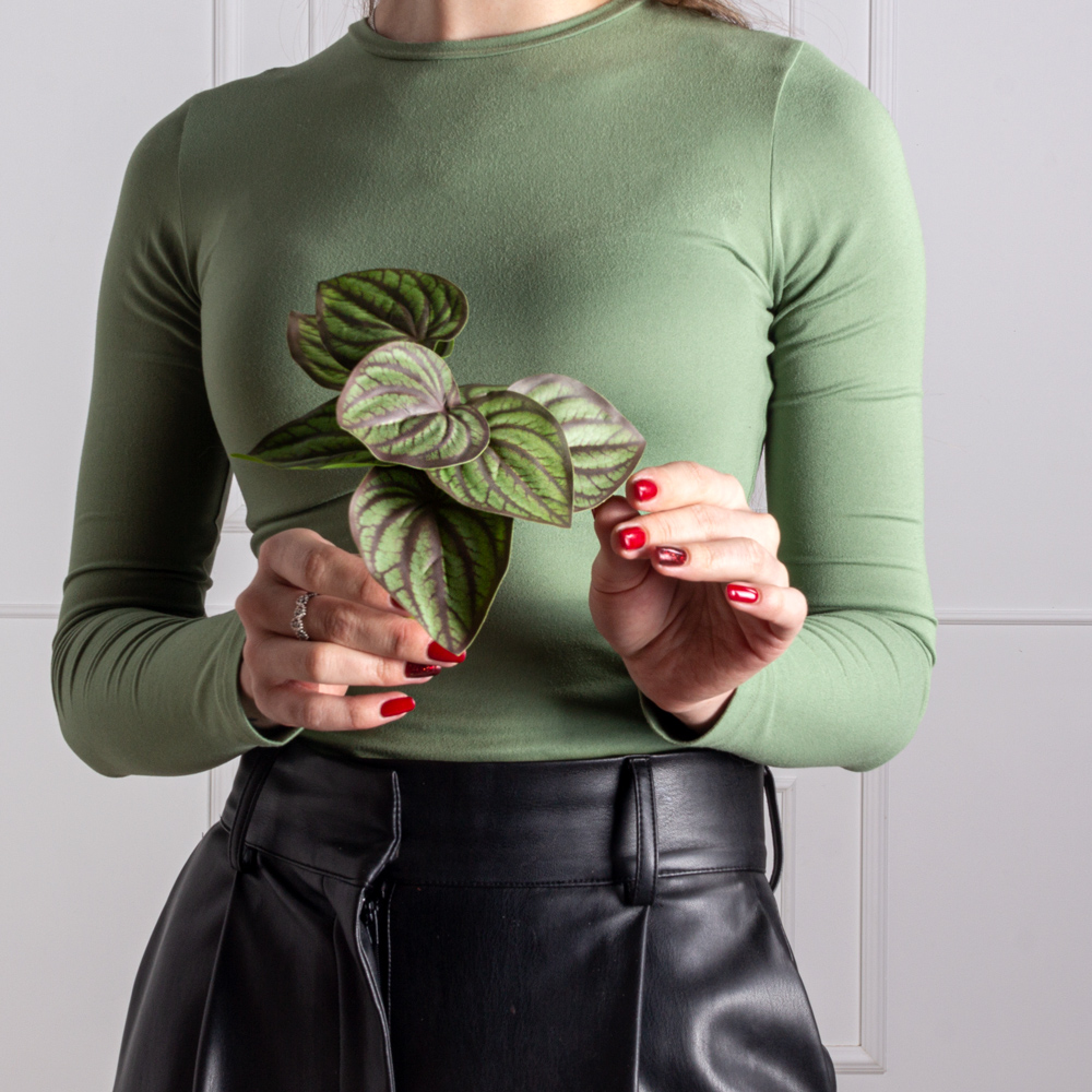 7143/0015-4 Пеперомея искусственная полосатая куст мини h15см, зелено-бордов._2