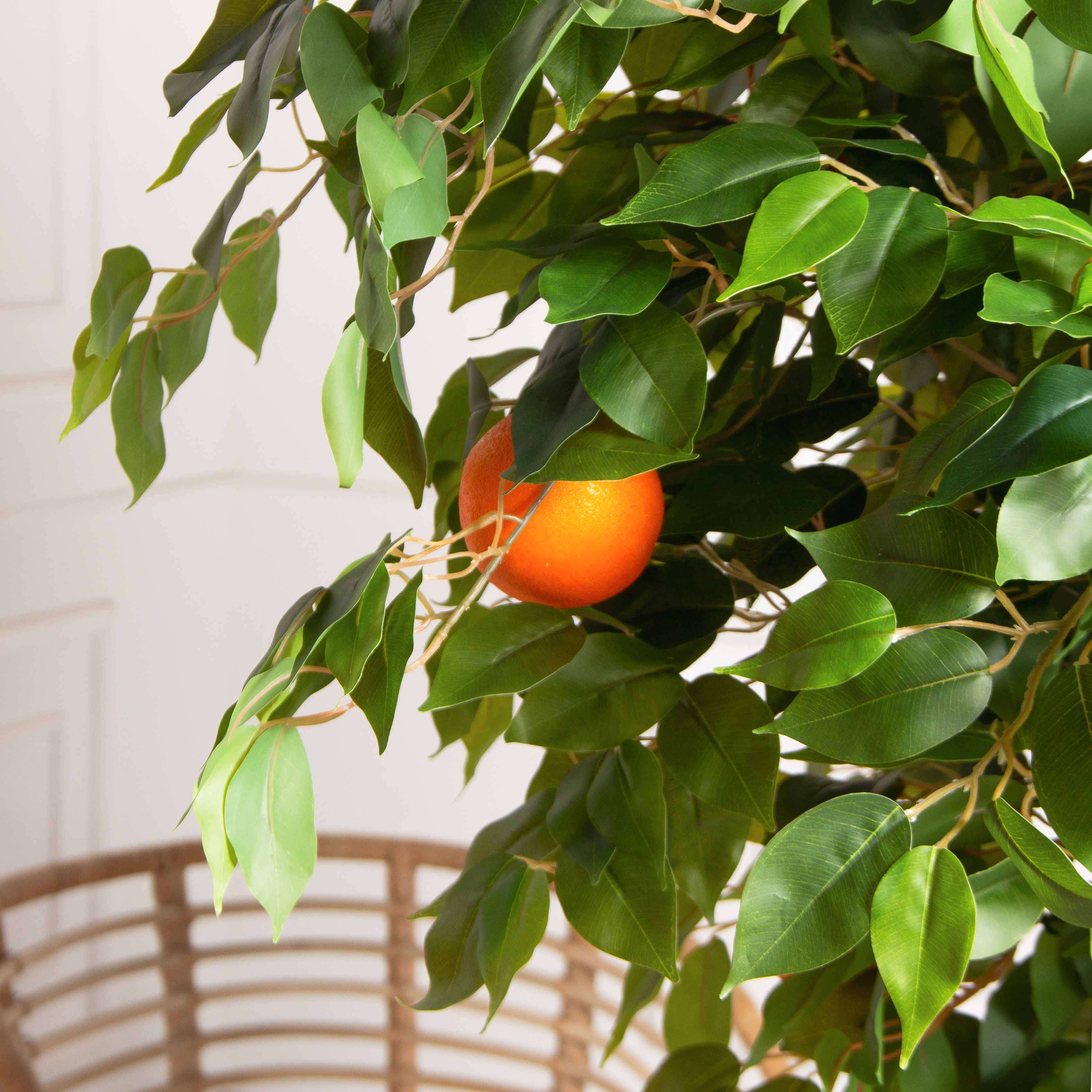 180/РПК/24М-2(з)(F) Апельсин искусственный с плодами h180см (латекс)_3