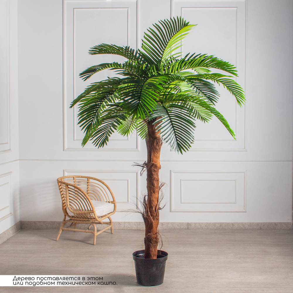 ПС200/БР/49Прем(з)(Пр)(F) Пальма Арека искусственная h200см(латекс)_1