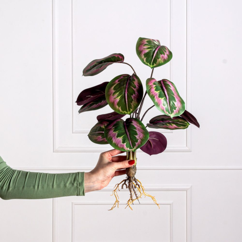 7143/0471-4 Калатея искусственная куст с корнями 12 листов h57см, зелено-фиолетовая_3