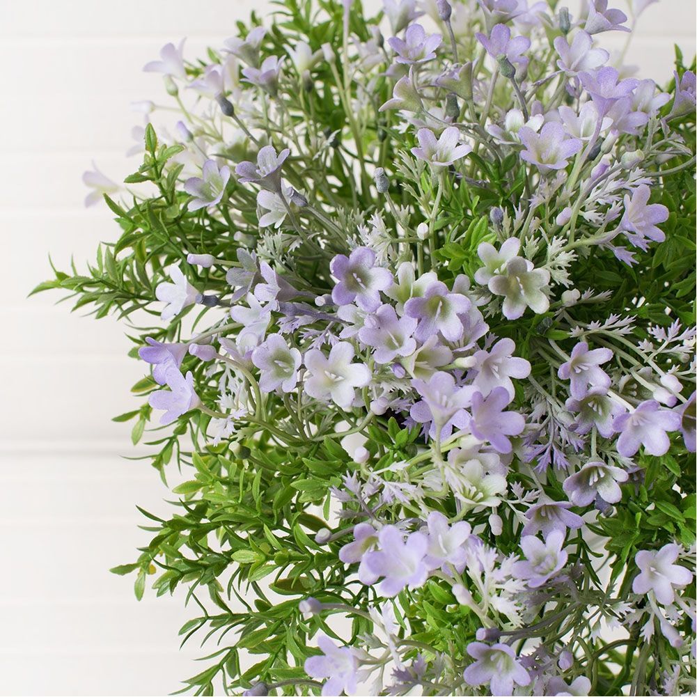 КС45 Кампанула ампельная h-35см (2)-1001x1001