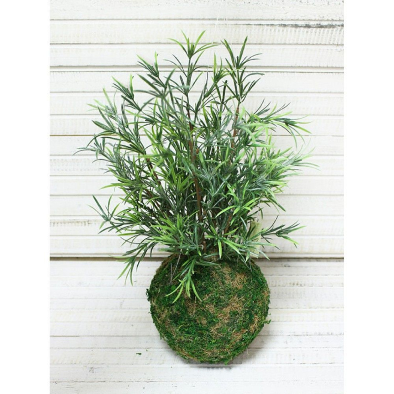 ККД35/143-2 Кокедама d-15 