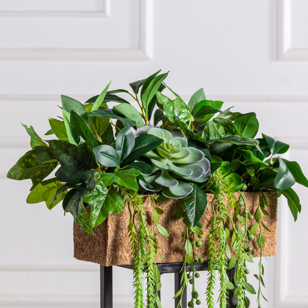 СКК14/7-3/1(з)(F) Композиция из голубых суккулентов с зеленью в кокосовом боксе 30*10*10_3