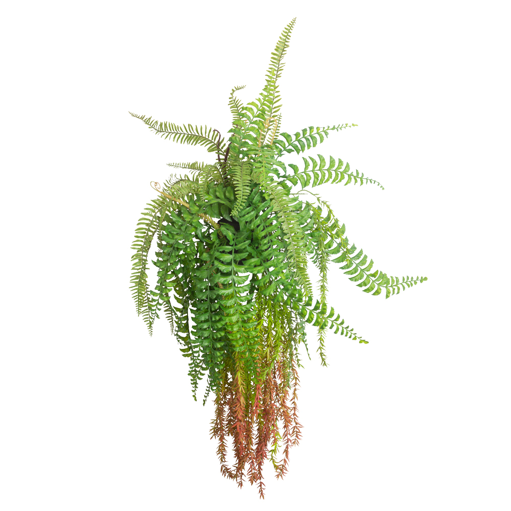 БК 14 Композиция с папоротником Осмунд на блоке 15*h10_22