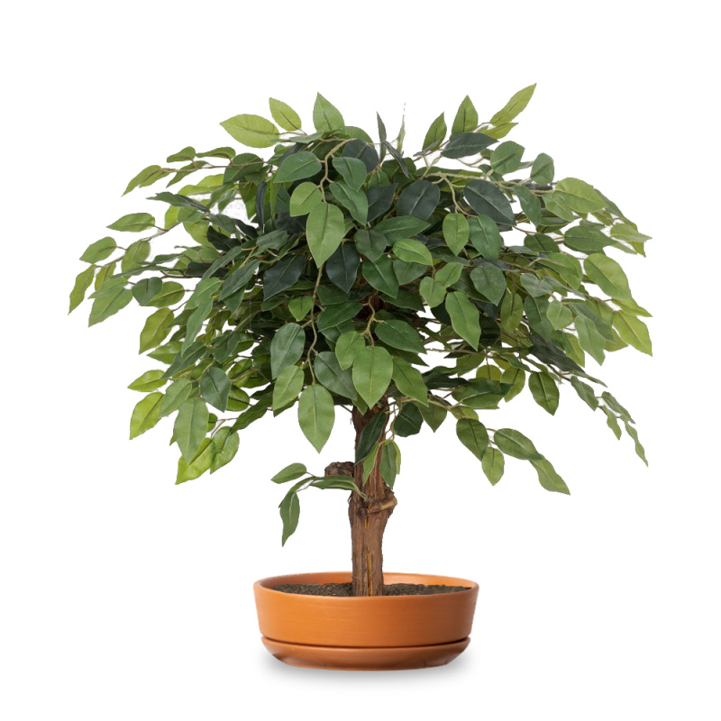БЛ055/09М Бонсай Фикус искусственный французский h55см (латекс)_6