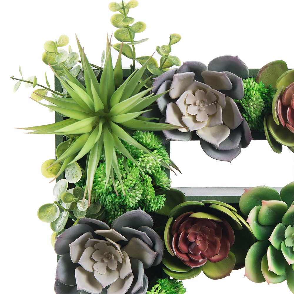 Логотип EUROMED KIDS с суккулентами (300*h27см)_2