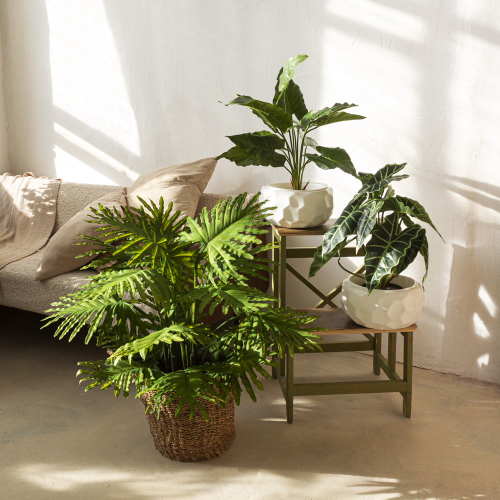 К055*2 Каладиум искусственный куст h55см(латекс) _3