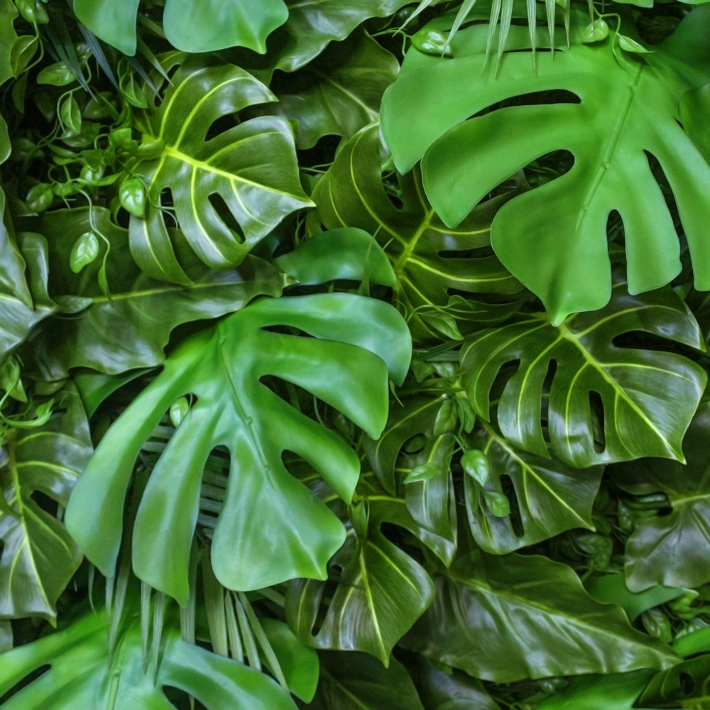 Фитостена 07_2