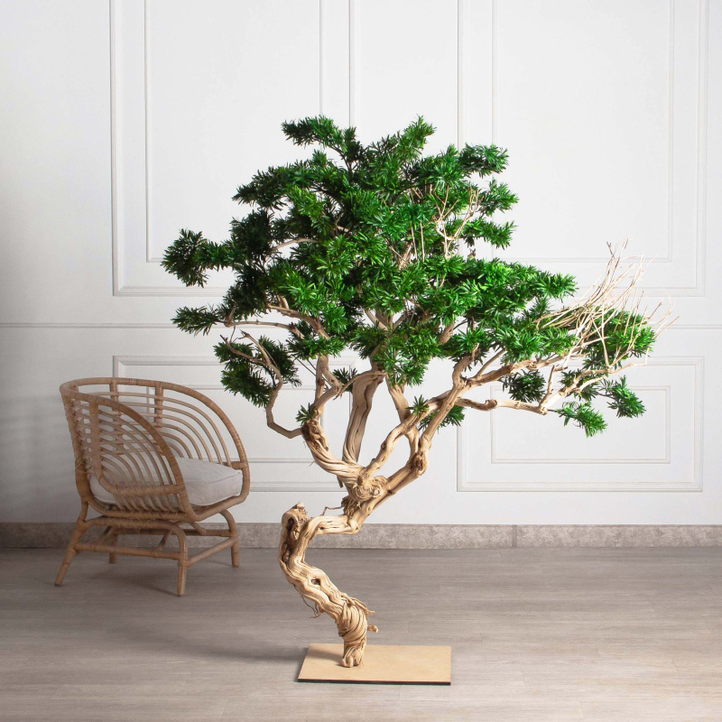 БЛ160/Д3/241(з)(F) Бонсай искусственный Подокарпус h160см d60-100см на основании_1