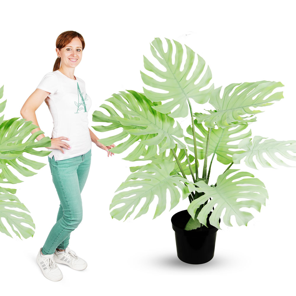 80/К/ССТ/371-1(з.) Монстера мятная на стволе h80см (латекс) _4