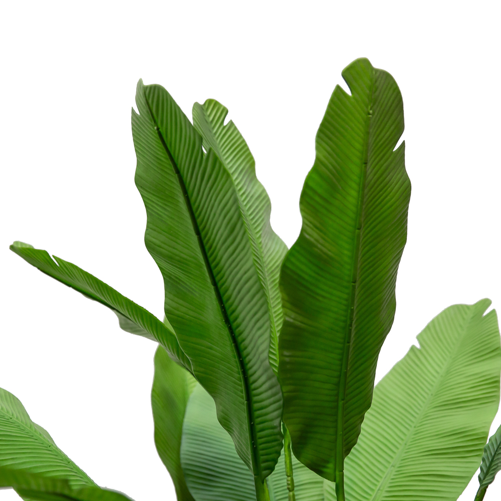 П180/356 Куст Банана (зеленый)h180см(латекс) _3