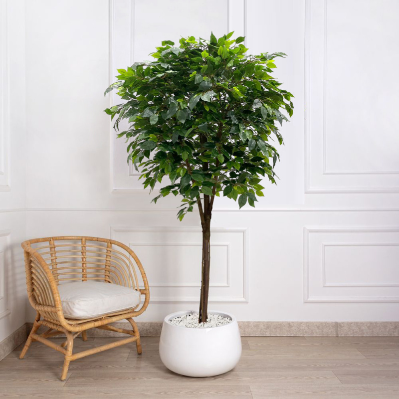 180/Ш/34-1(з/УУ)(Пр) Фикус искусственный h180см, d100см (латекс)_2