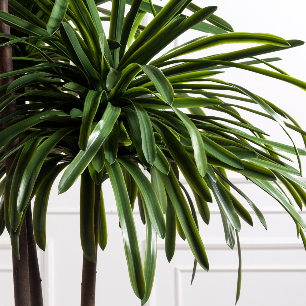 250/3К/608(з)(F) Драцена искусственная h250см, d120см_4